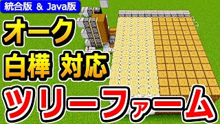 【マイクラ】超簡単！オーク＆白樺対応ツリーファームの作り方【Java版/統合版 1.21】