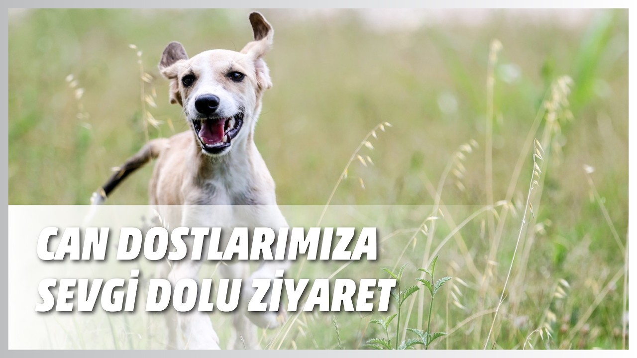 CAN DOSTLARIMIZA SEVGİ DOLU ZİYARET