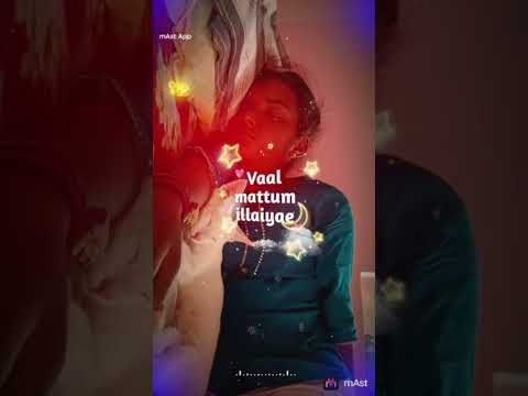 My lovely cat 🐈 with a beautiful song ❤️❤️❤️