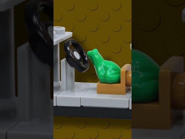 Vídeo relacionado con AEYAKA Set de 5 Esqueletos de Dinosaurios Impresos en 3D, Dinosaurios Articulados y Posables, Decoración de Escritorio, Juguete Educativo y Antiestrés, Regalo para Adolescentes y Adultos