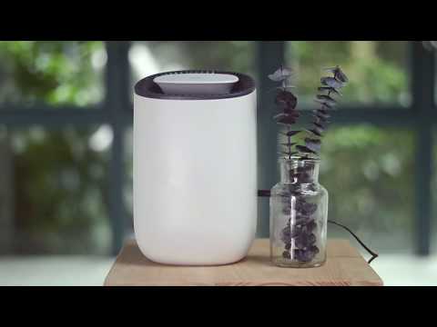 Afloia Mini Electric Home Dehumidifier （600ml）Product Display