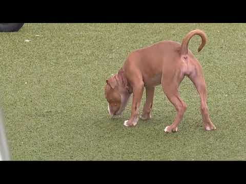 ABC Action News Latest Headlines | September 24, 4am