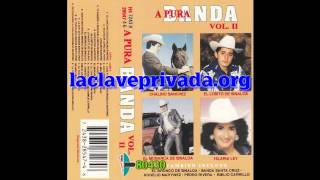 A Pura Banda Vol  II - Cesar Benitez El Bronco De Sinaloa