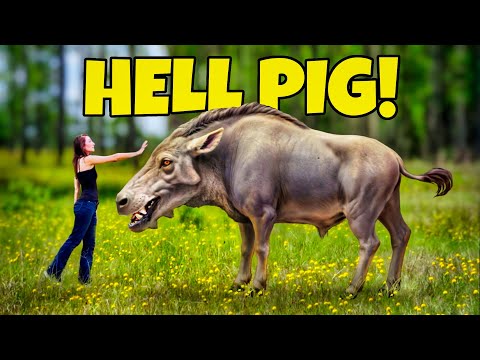 We Found a HELL PIG! Our RAREST Fossil Find Ever! | Florida Entelodont (Daeodon/Dinohyus)