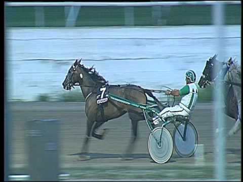 Trotto 23/09/2016 - 7ª corsa