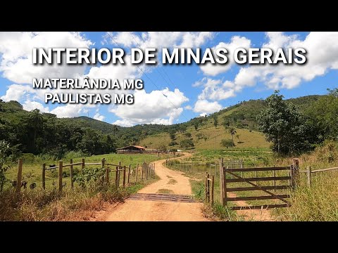 INTERIOR DE MINAS GERAIS | PINHEIROS , PASSEIO PELA  ZONA RURAL DE MATERLÂNDIA MG  E PAULISTAS MG