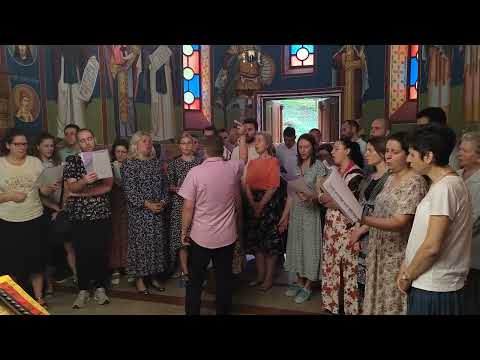 Aliluja - Kornelije Stanković