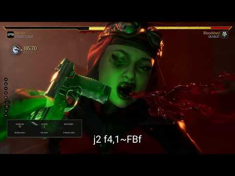 Mortal Kombat 11 Digital Soldier Cassie Cage Version 1.0 BnB Kombos