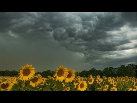 INTENSE Wind 10 full hours of Howling Strong Loud Wind Noise sound ASMR