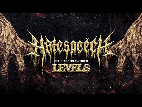 HATESPEECH - LEVELS (Visualiser)