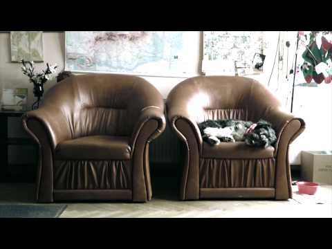 Poiana Brasov / White Trip / Nane feat. George Hora - NOI 2