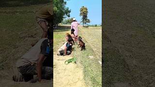 Download lagu #funny 👀😨 mp3 Download lagu #funny 👀😨 mp3