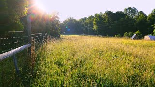 Soft Instrumental Worship with Nature Sounds