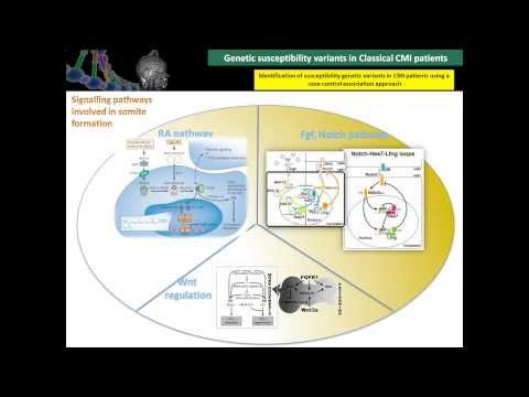 Genetic susceptibility variants in Classical CMI patients