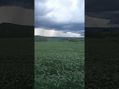 são francisco do imbau, ,,congonhinhas Paraná