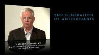 Combination Antioxidants SkinCeuticals