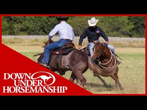 Clinton Anderson: How to Fix a Buddy-Sour Horse - Downunder Horsemanship