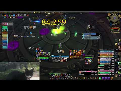 Dreamstate Throne of Thunder Durumu the Forgotten 10M Heroic