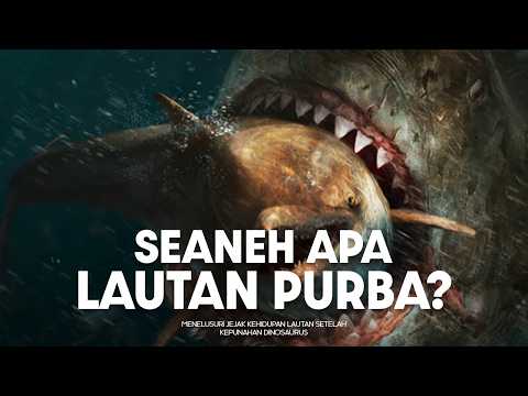 Bagaimana Keadaan Lautan Ketika Megalodon Hidup? #BelajarDuniaPurba