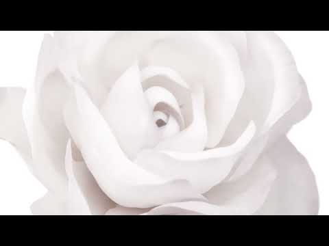 Les Parfums Louis Vuitton   15s