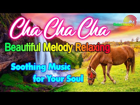New Relaxing Music Beautifies the Soul, Beautiful Cha Cha Cha Melody Instrumental