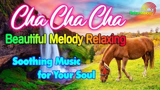 Download lagu New Relaxing Music Beautifies the Soul, Beautiful Cha Cha Cha Melody Instrumental mp3