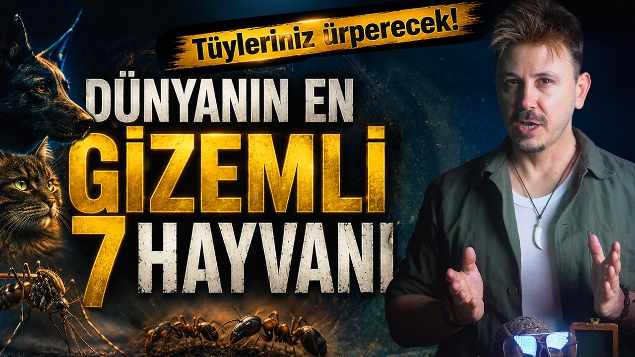 ALLAH BU 7 HAYVANA AKIL ALMAZ SIRLAR GİZLEDİ!
