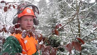 Opatření proti zlodějům vánočních stromků