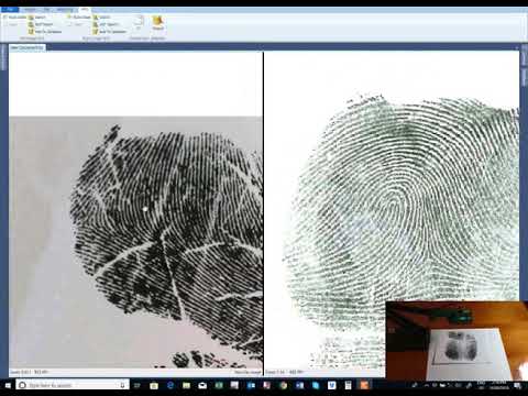 Overview of Forensic Comparison Software + AFIS