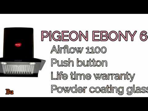 download lagu mp3 mp4 Pigeon Black Pearl 60 Review, download mp3 Pigeon Black Pearl 60 Review free download mp3, download mp3 Pigeon Black Pearl 60 Review