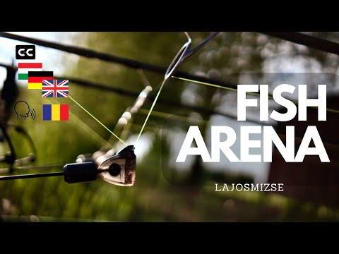 Confruntarea pescuitului la crap: LANSAT vs PLANTAT - 400 kg de CRAP prins