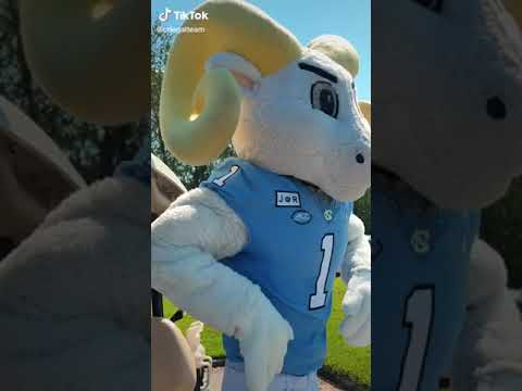 Chris Roberts & Ramses