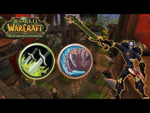 2600+ Rogue Druid 2v2 Arenas  l World of Warcraft: The Burning Crusade Classic