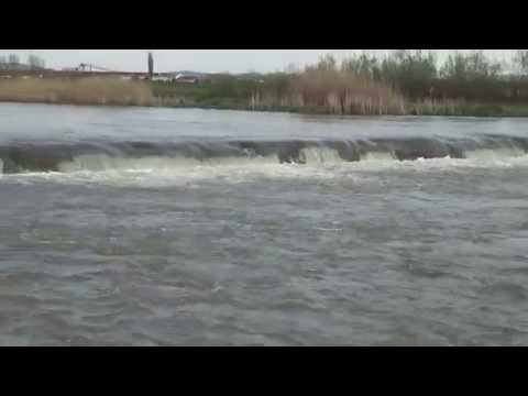 Râul Mureş la Sântioana de Mureș (Csittszentiván)