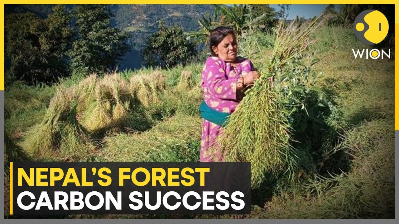 Nepal Receives $9.4 Million for Cutting Carbon Emissions from Forests | WION