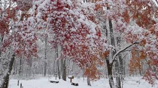 赤城自然園の紅葉