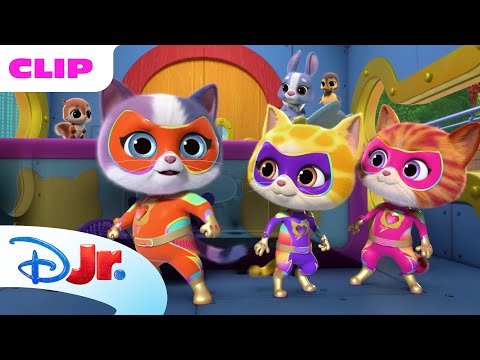 Super Helpers 🐈 | SuperKitties ⭐ | Disney Jr. MENA
