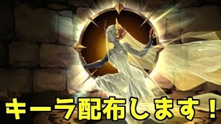 【キーラ配布】カエデ・即切りのみ。力尽きるまで！【パズドラ】