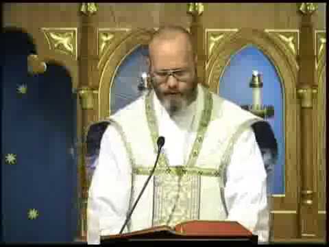 Nov 21 - Homily: Mary Our Model