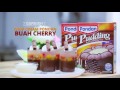 YOUTUBE VIDEO PONDAN