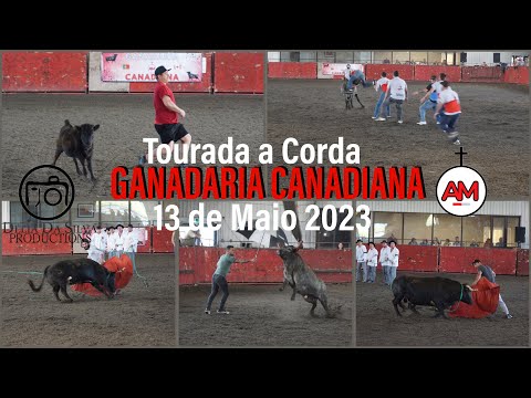 Corsa dei tori canadese, 13 maggio 2023