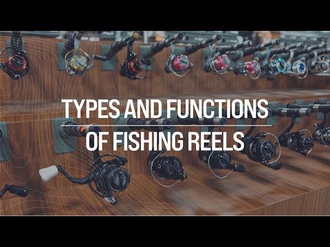 Ashley Rae | Types and functions of fishing reels