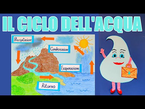💧🔃 Il ciclo dell'acqua: il viaggio di Gocciolina 💼