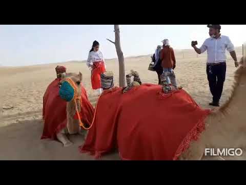 #3@Al-FaqaaSafari Desert Abu Dhabi  U.A.E.Riding in Tandem #camel..