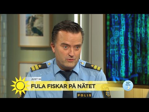 Polisen varnar för nätfiske: ”Katastrofstora summor som försvinner” - Nyhetsmorgon (TV4)