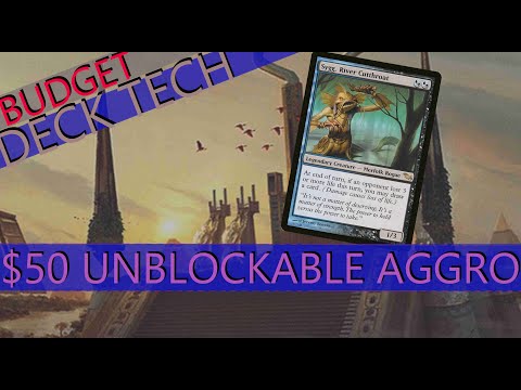 $50 Budget Unblockable Aggro