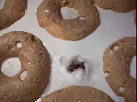 Honey, I Shrunk the Kids (1989)- Nick is almost eaten