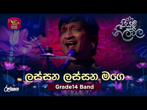 Lassana Lassana Mage Adariye |  ලස්සන ලස්සන මගෙ | Grade 14 Band | Piyum Neela Vila | Roo Tunes