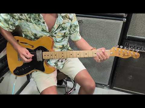 Fender Telecaster Thinline 1978 Natural image 26