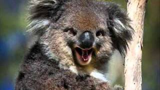 wake the world - nestakrib